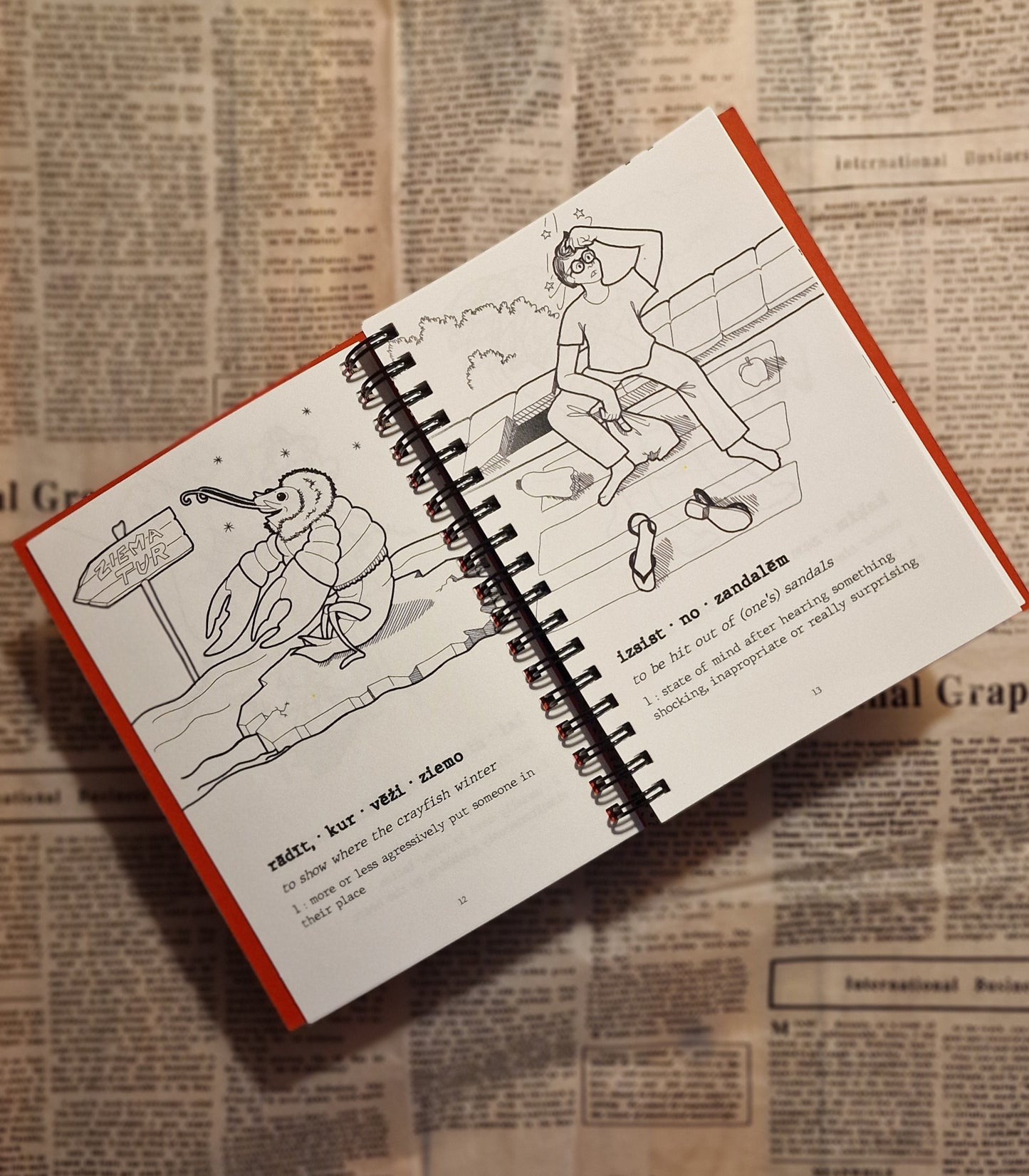 Latvian Stuff Book. Ilustrētas latviešu idiomas 2